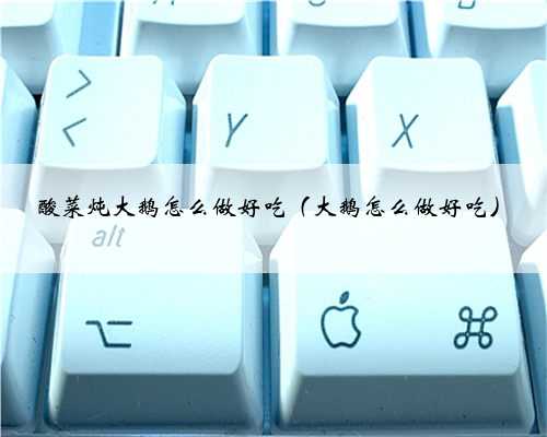 酸菜炖大鹅怎么做好吃（大鹅怎么做好吃）