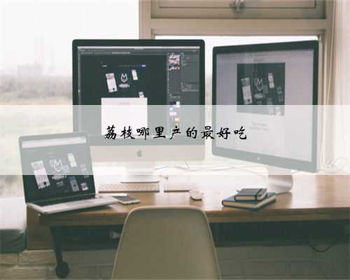 荔枝哪里产的最好吃