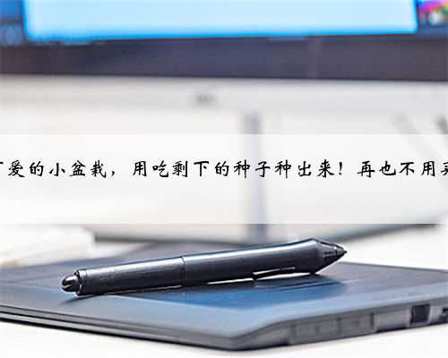 5种可爱的小盆栽，用吃剩下的种子种出来！再也不用买了~