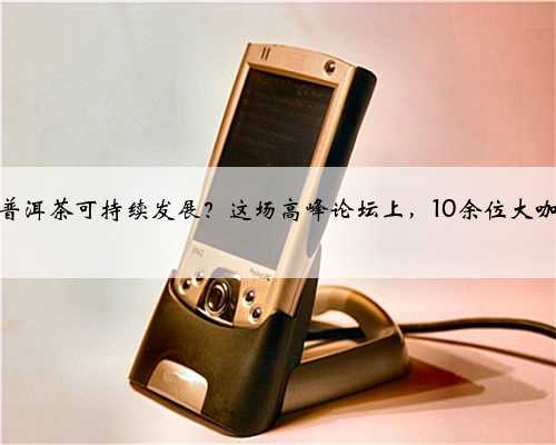 如何实现普洱茶可持续发展？这场高峰论坛上，10余位大咖为您解答