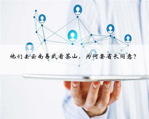 他们去云南易武看茶山，为何要省长同意？