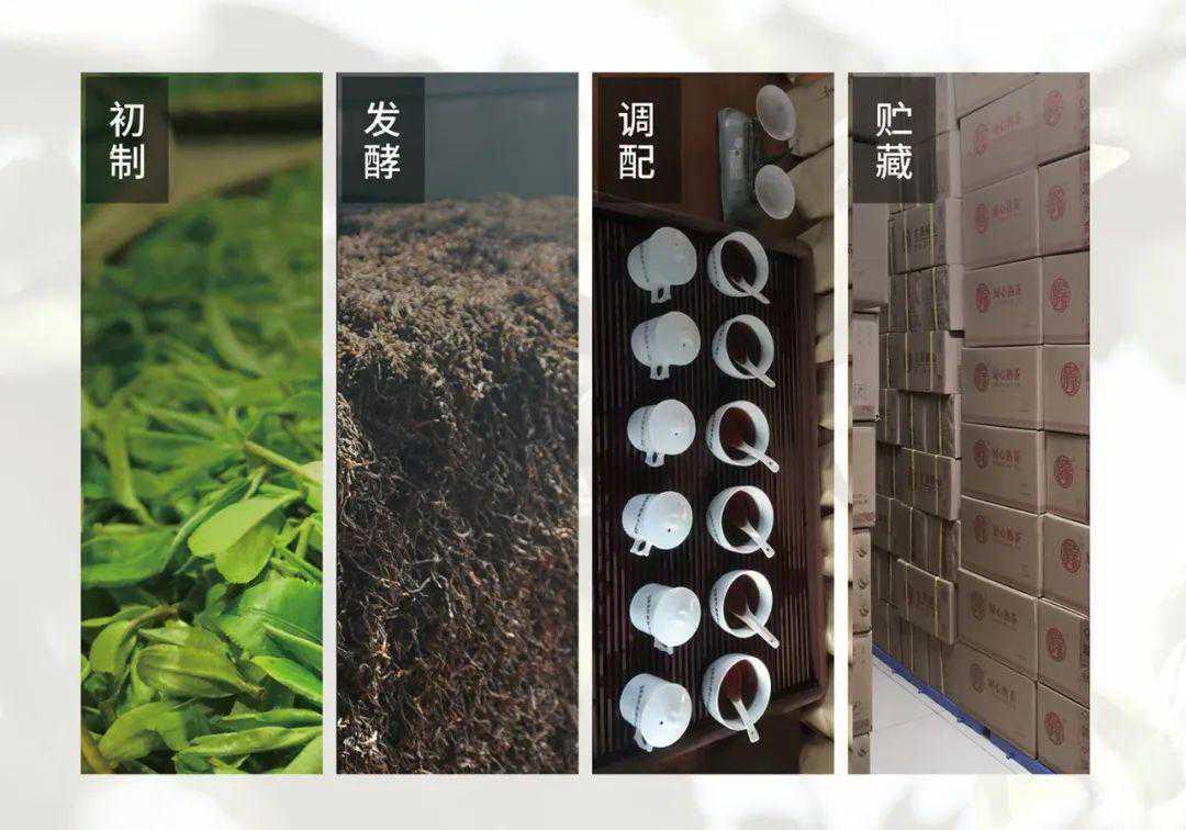 一篇文章，读懂厨心熟茶