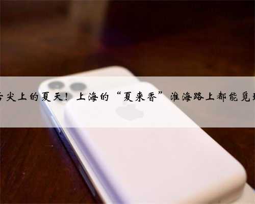 舌尖上的夏天！上海的“夏来香”淮海路上都能觅到