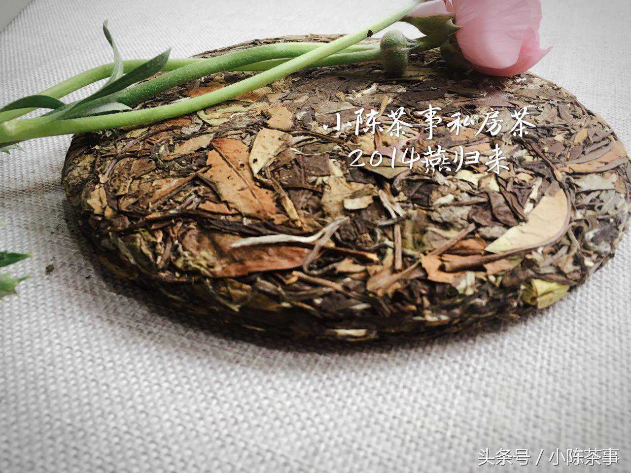 深度揭秘：老白茶为何要压制成饼