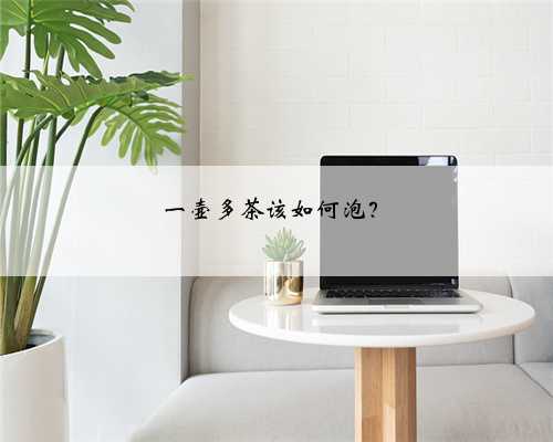 一壶多茶该如何泡？