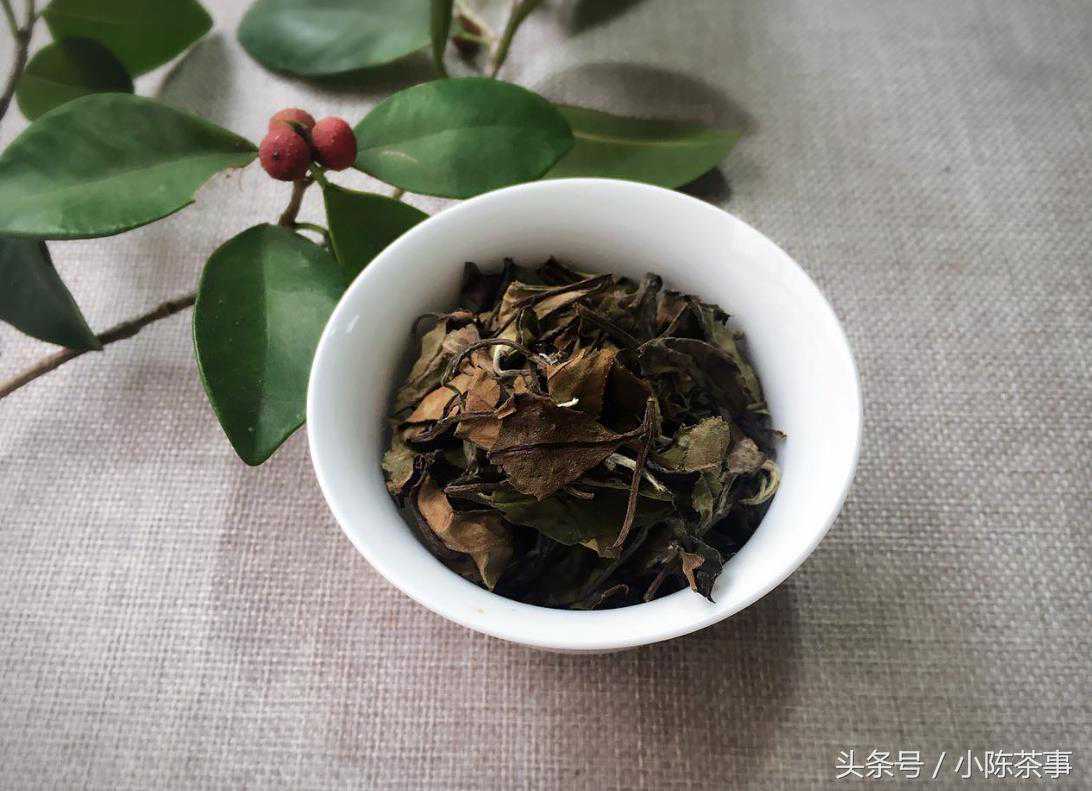 深度揭秘：老白茶为何要压制成饼