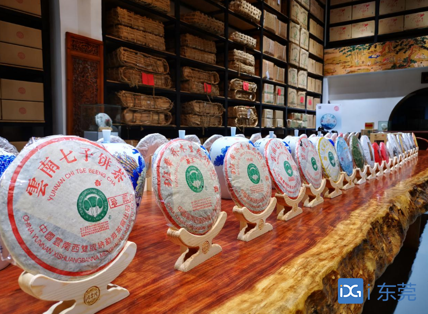 2020东莞茶博会④丨“世界工厂”之外，东莞“藏茶之都”名片从何而来？