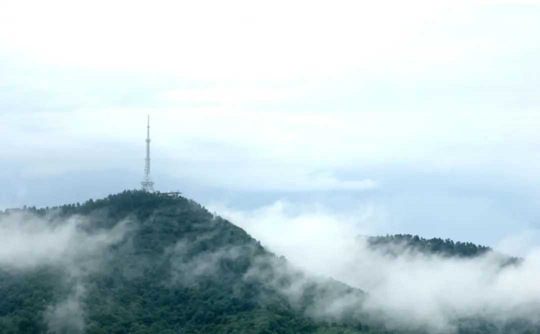 【青峰】竹海小径、敬亭绿雪......初冬在这座皖南“江南诗山”里领略温润明净