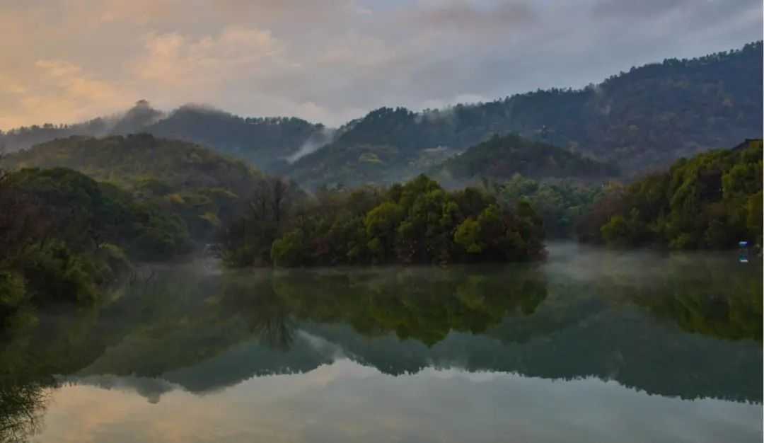 【青峰】竹海小径、敬亭绿雪......初冬在这座皖南“江南诗山”里领略温润明净