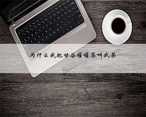 为什么我把甘谷罐罐茶叫武茶