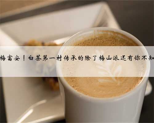 白茶玩家梅富安丨白茶第一村传承的除了梅山派还有你不知道的风土