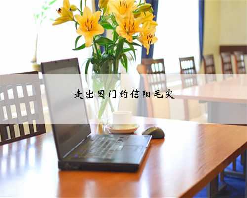 走出国门的信阳毛尖