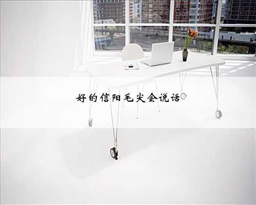 好的信阳毛尖会说话