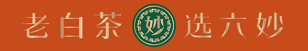 ‚ÄúÂõΩÈôÖËåÉ‚ÄùÂçÅË∂≥ÁöÑÂ§èÊó•Ëå∂‰ºöÔºåÂ∞±Âú®Êò