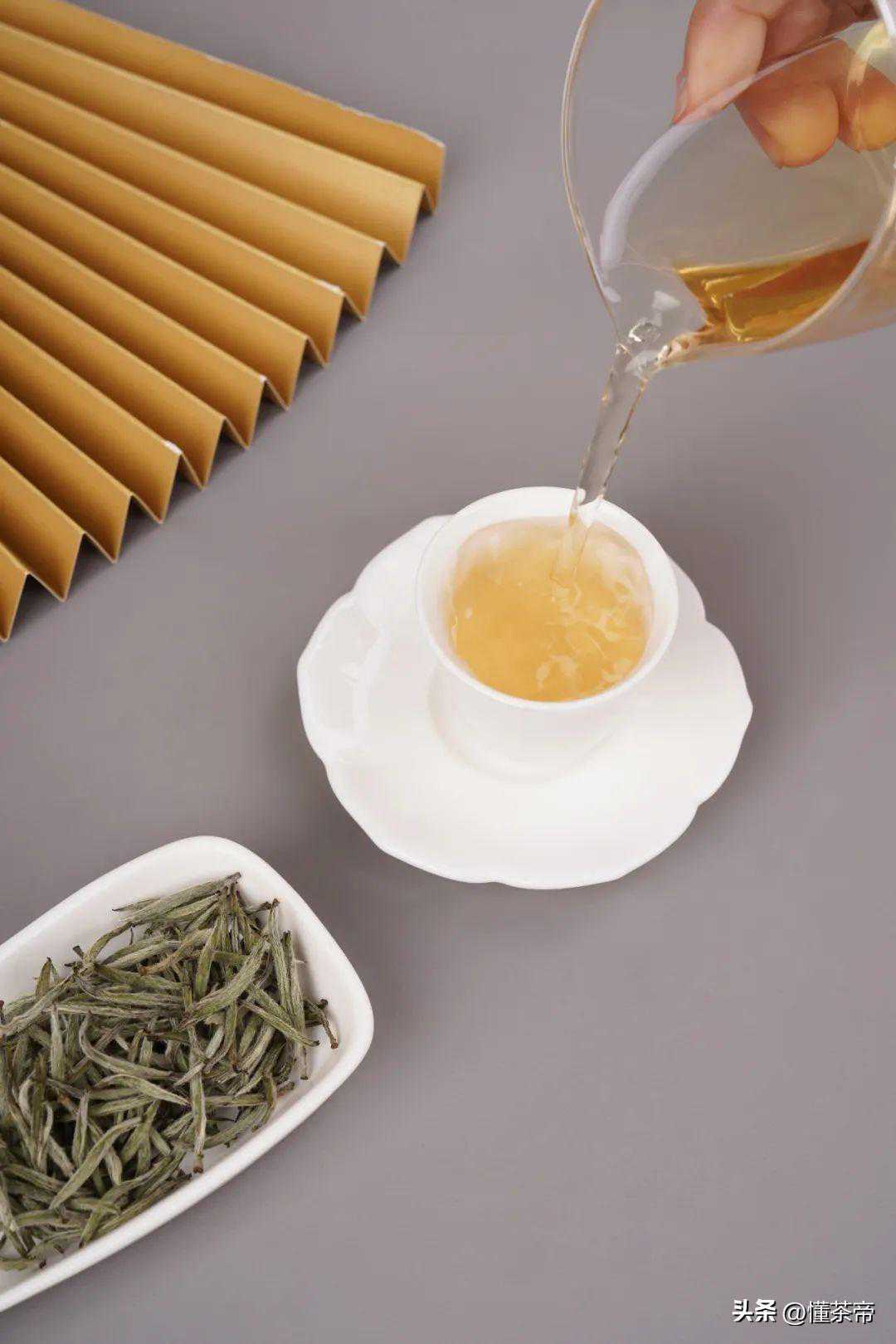 福鼎VS政和白茶哪家强？这五大区别不得不知！