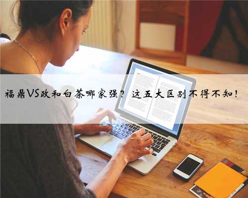 福鼎VS政和白茶哪家强？这五大区别不得不知！