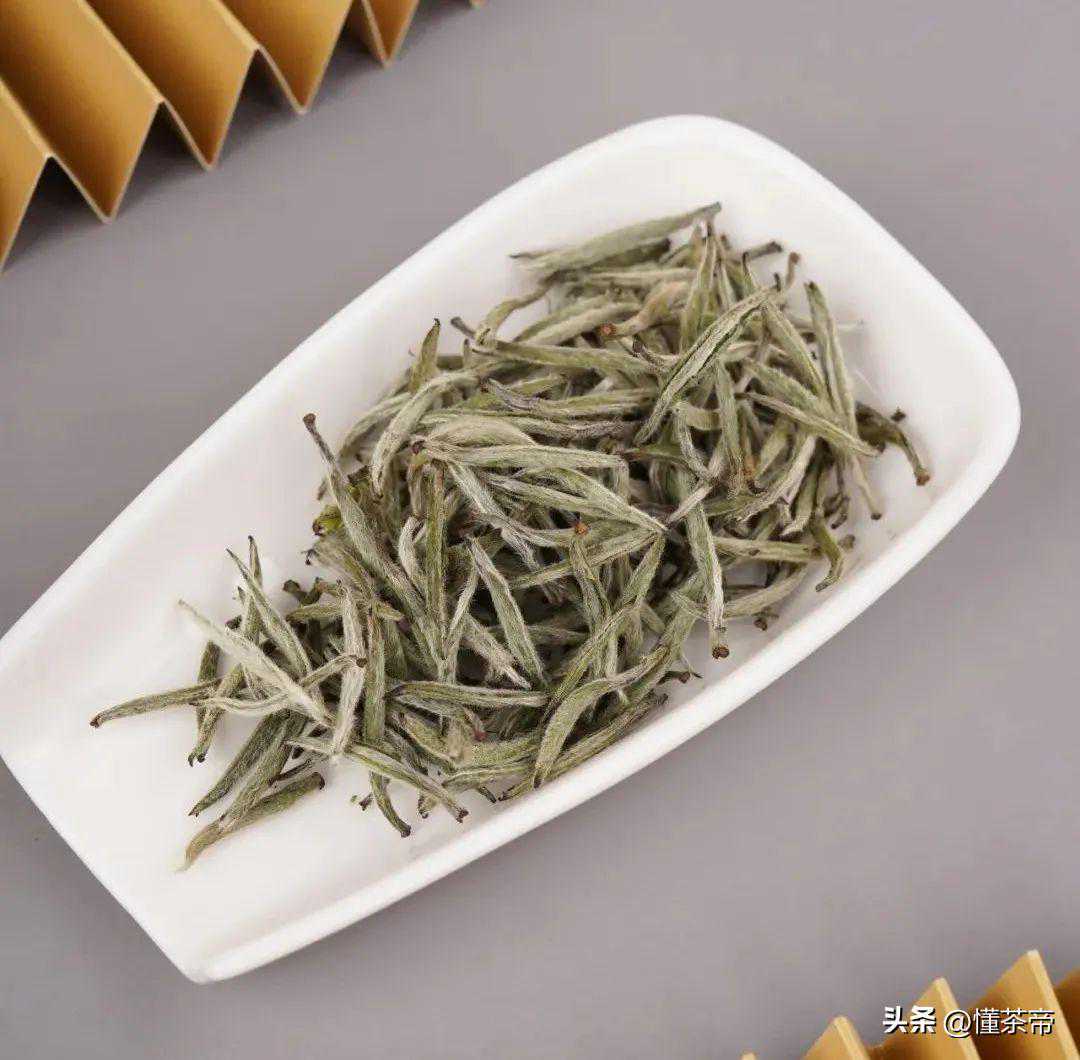 福鼎VS政和白茶哪家强？这五大区别不得不知！