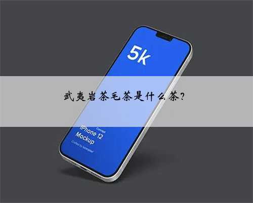 武夷岩茶毛茶是什么茶？
