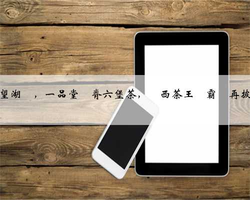 探秘桂林望湖閣，一品堂龍脊六堡茶，廣西茶王爭霸賽再披“龍袍”