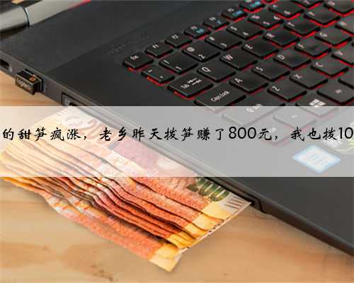 竹林里的甜笋疯涨，老乡昨天拨笋赚了800元，我也拨10袋回去