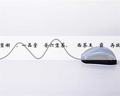 探秘桂林望湖閣，一品堂龍脊六堡茶，廣西茶王爭霸賽再披“龍袍”