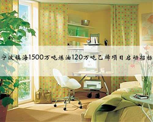 宁波镇海1500万吨炼油120万吨乙烯项目启动招标