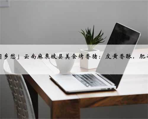 「中国乡愁」云南麻栗坡县美食烤香猪：皮黄香酥，肥而不腻