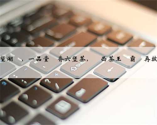 探秘桂林望湖閣，一品堂龍脊六堡茶，廣西茶王爭霸賽再披“龍袍”