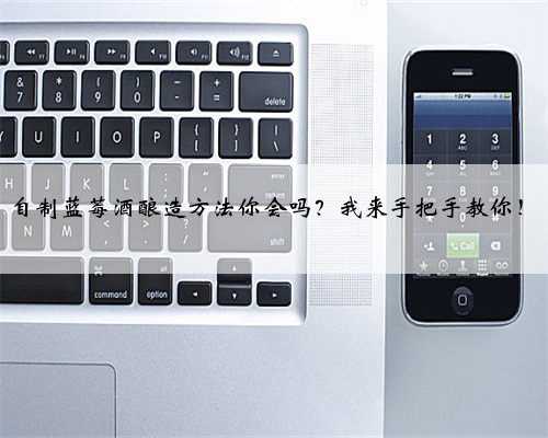 自制蓝莓酒酿造方法你会吗？我来手把手教你！