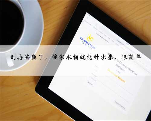 别再买藕了，你家水桶就能种出来，很简单