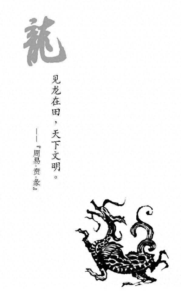 龙行龘（ｄá）龘，茶暖四季！这些“龙”茶，你喝过几种？