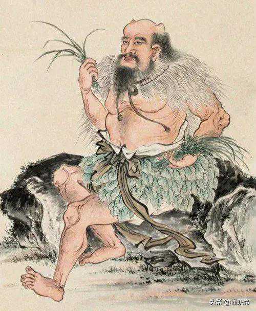 ​我国最早的茶居然是白茶？关于白茶的4种说法，你更认可哪个？