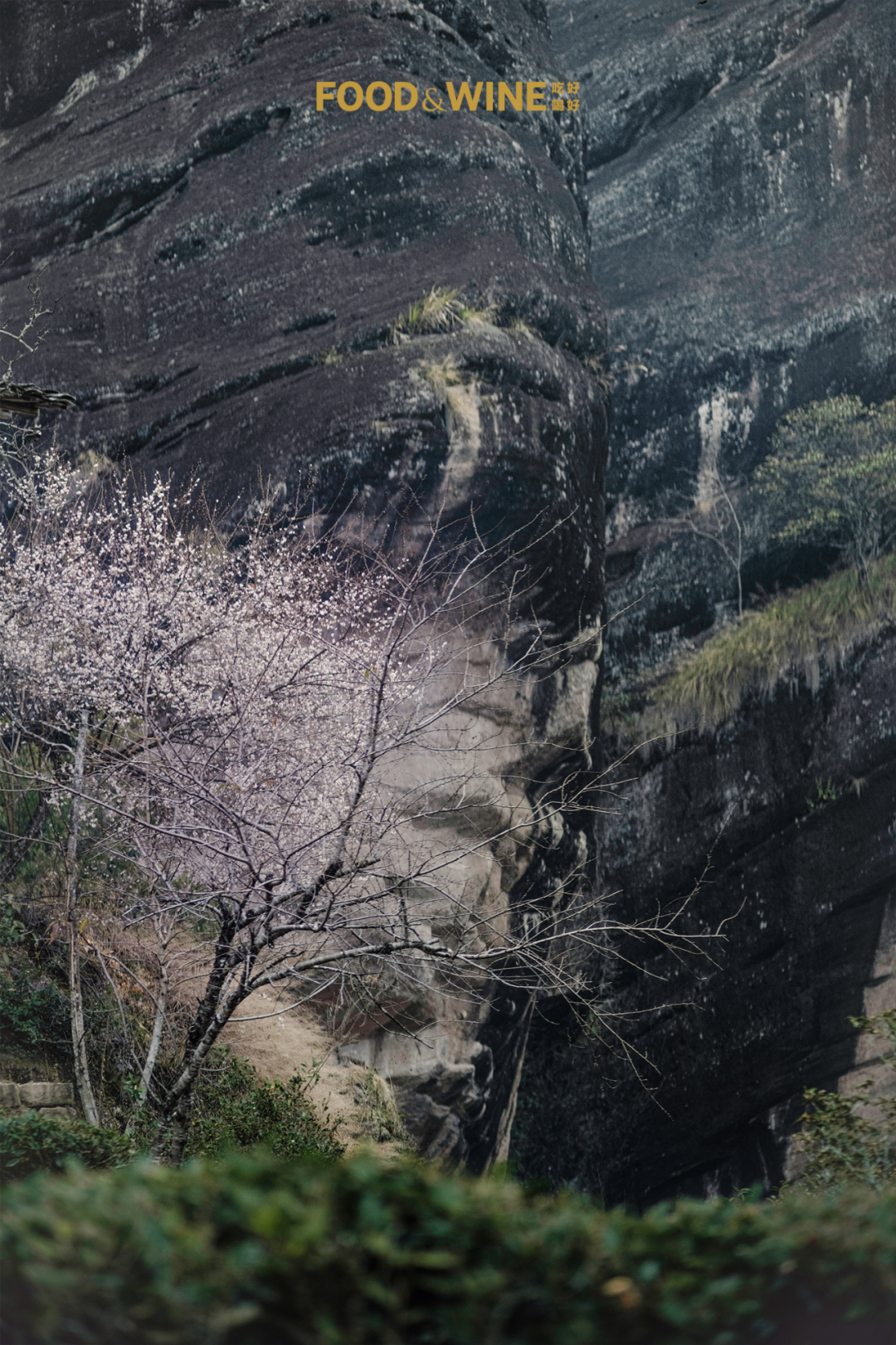沿江行 · 武夷山｜连山接海，运茶入世