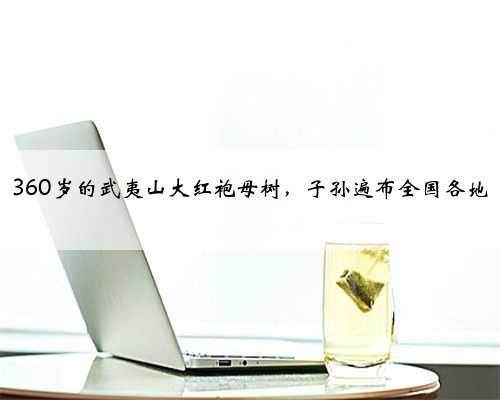 360岁的武夷山大红袍母树，子孙遍布全国各地