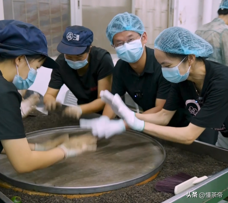 史上最详细的小青柑制作流程，干货满满建议收藏！