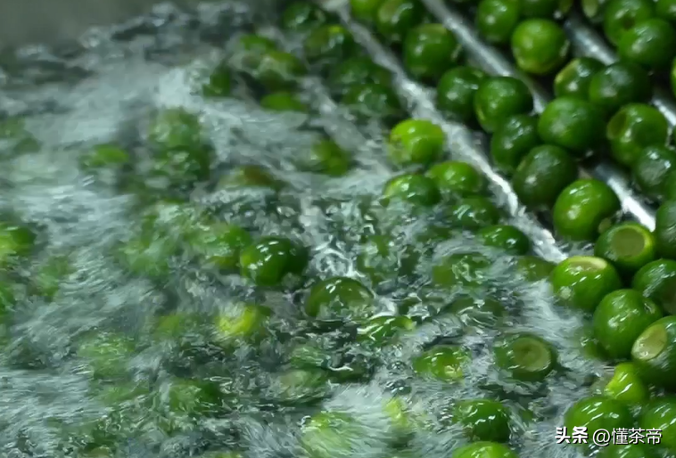 史上最详细的小青柑制作流程，干货满满建议收藏！