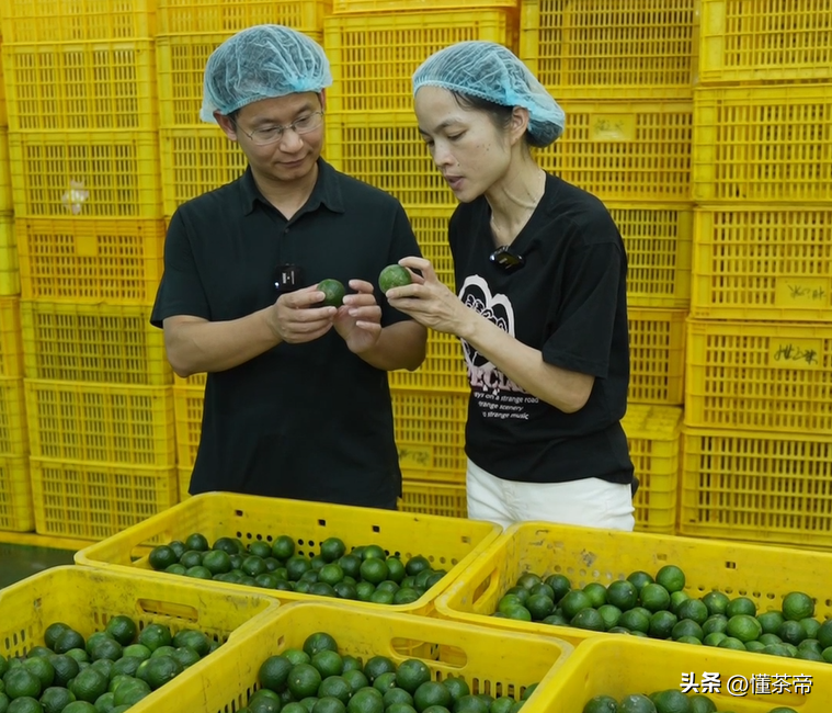 史上最详细的小青柑制作流程，干货满满建议收藏！