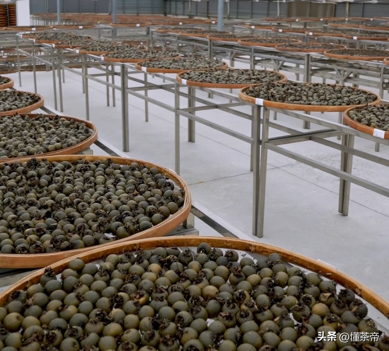 史上最详细的小青柑制作流程，干货满满建议收藏！