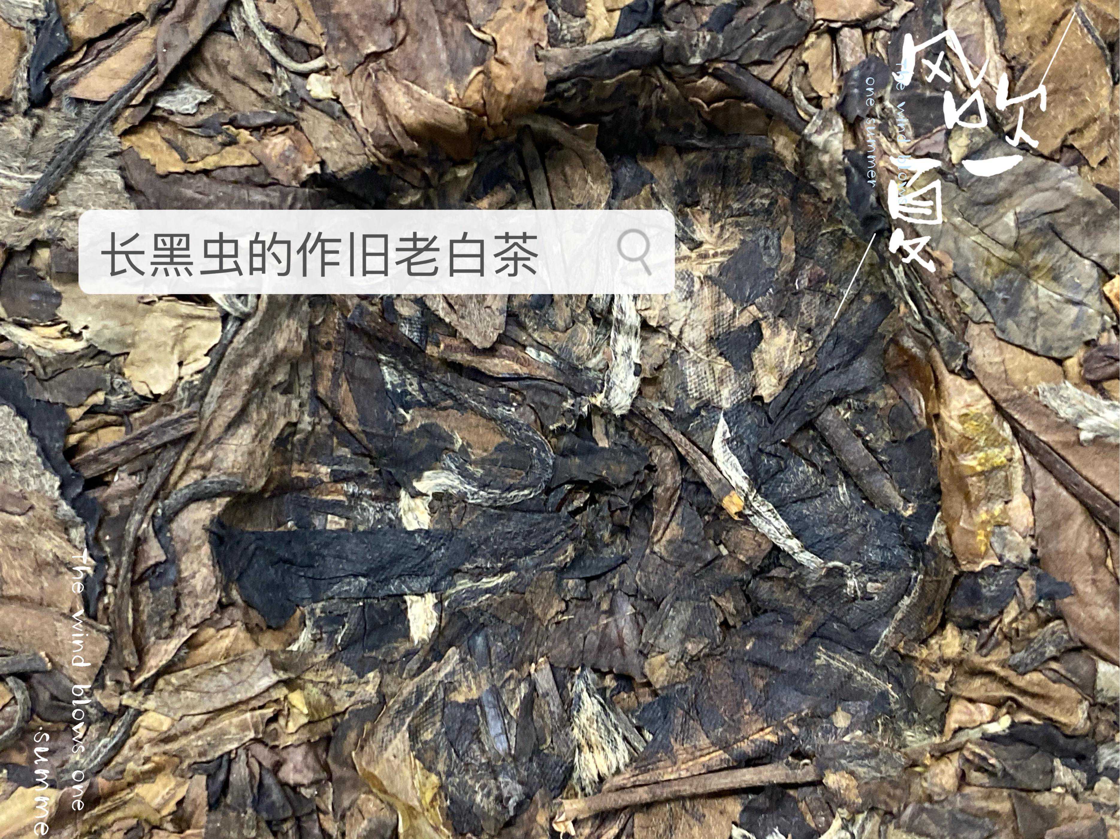 10年陈老寿眉饼，不到100元就能买到，老白茶什么时候烂大街了？