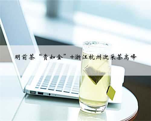明前茶“贵如金” 浙江杭州迎采茶高峰