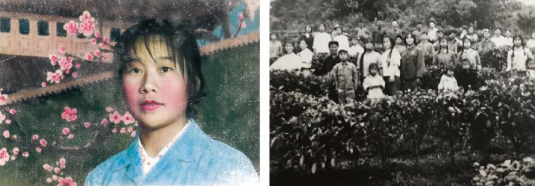 3万字解析：“内地茶企第一股”，澜沧古茶品牌简史