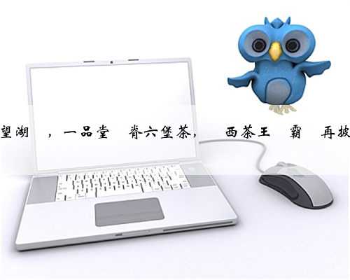 探秘桂林望湖閣，一品堂龍脊六堡茶，廣西茶王爭霸賽再披“龍袍”