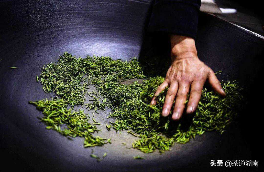 天天说正确的炒青工艺，炒青是从什么时候开始的？