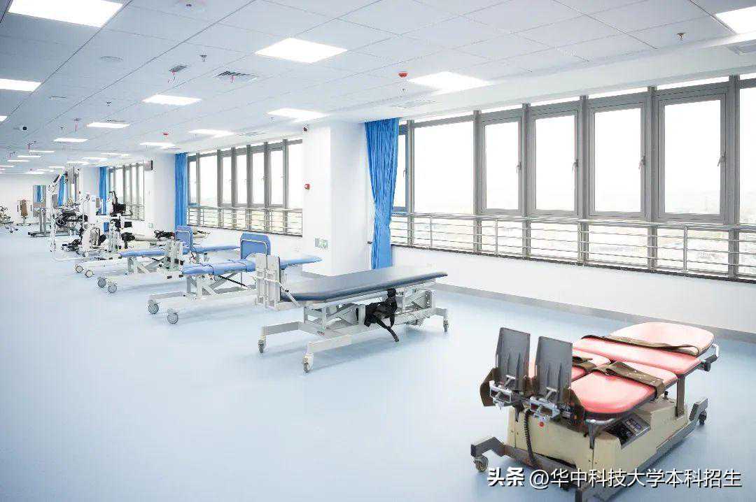 新会陈皮：用沃柑皮“平替”新会柑皮？这个“想得美”操作在蔓延