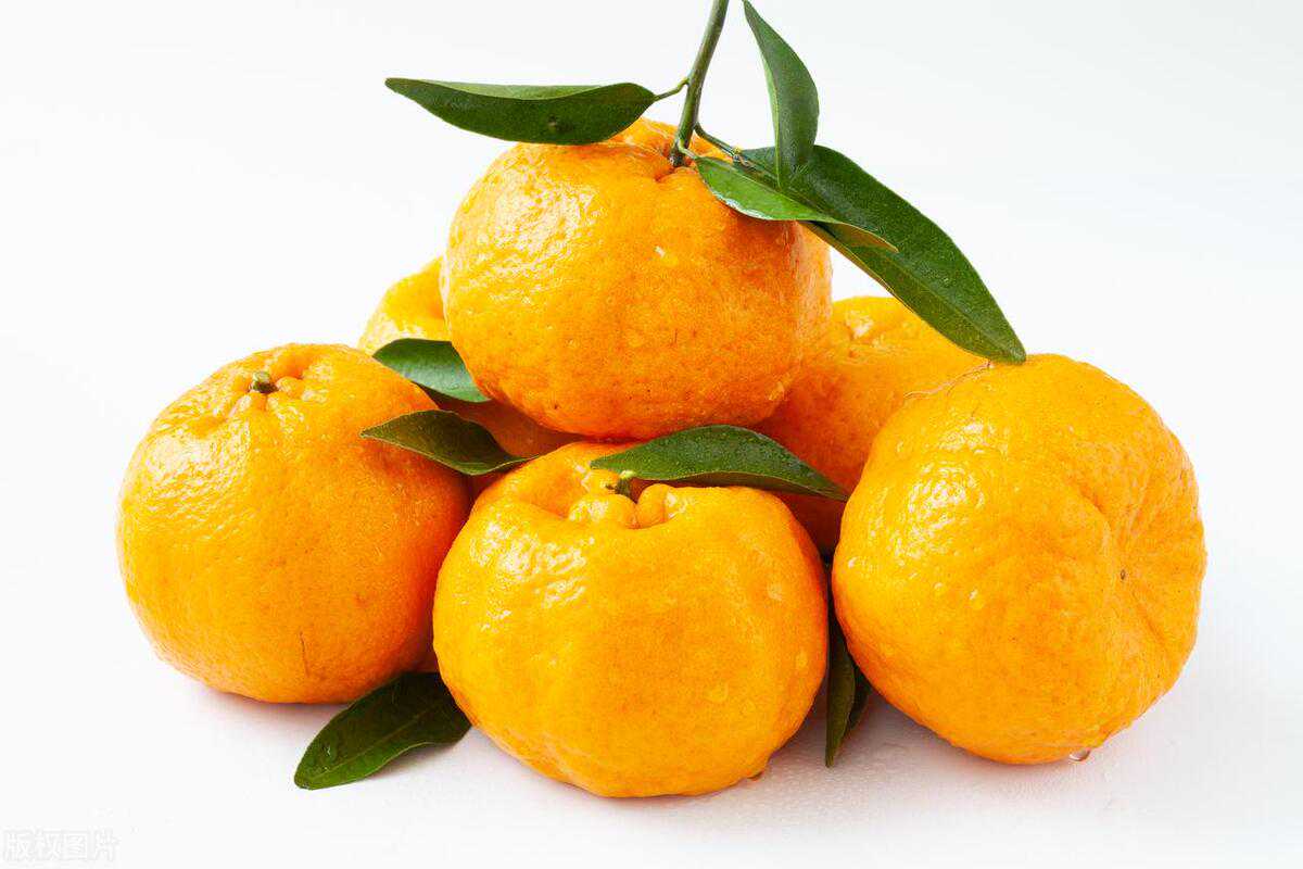 新会陈皮：用沃柑皮“平替”新会柑皮？这个“想得美”操作在蔓延
