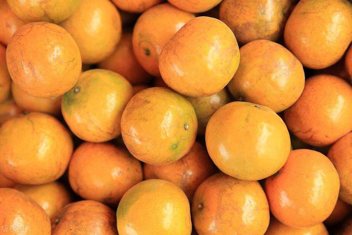 新会陈皮：用沃柑皮“平替”新会柑皮？这个“想得美”操作在蔓延