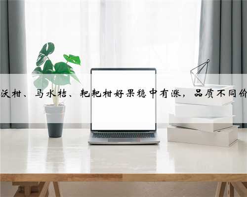 3月2日，沃柑、马水桔、耙耙柑好果稳中有涨，品质不同价格差距大