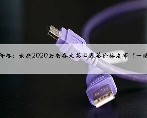 网传价格：最新2020云南各大茶山春茶价格发布（一睹为快