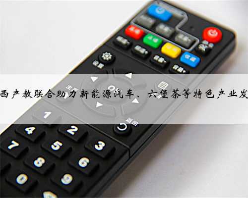 广西产教联合助力新能源汽车、六堡茶等特色产业发展