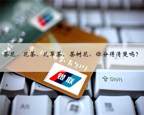 茶花、花茶、花草茶、茶树花，你分得清楚吗？
